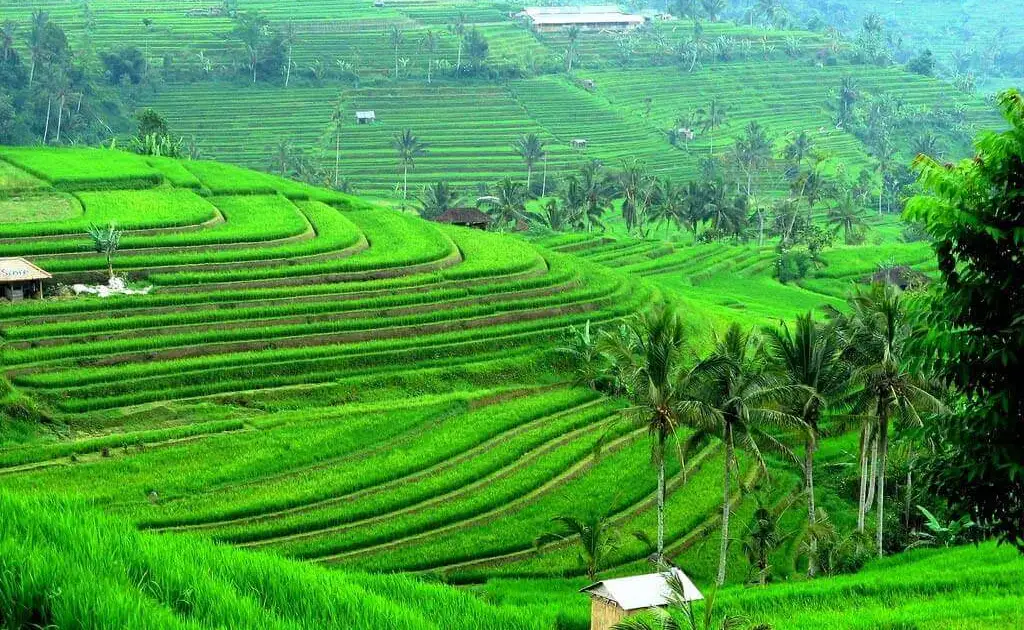 10 Best Places to Visit in Indonesia