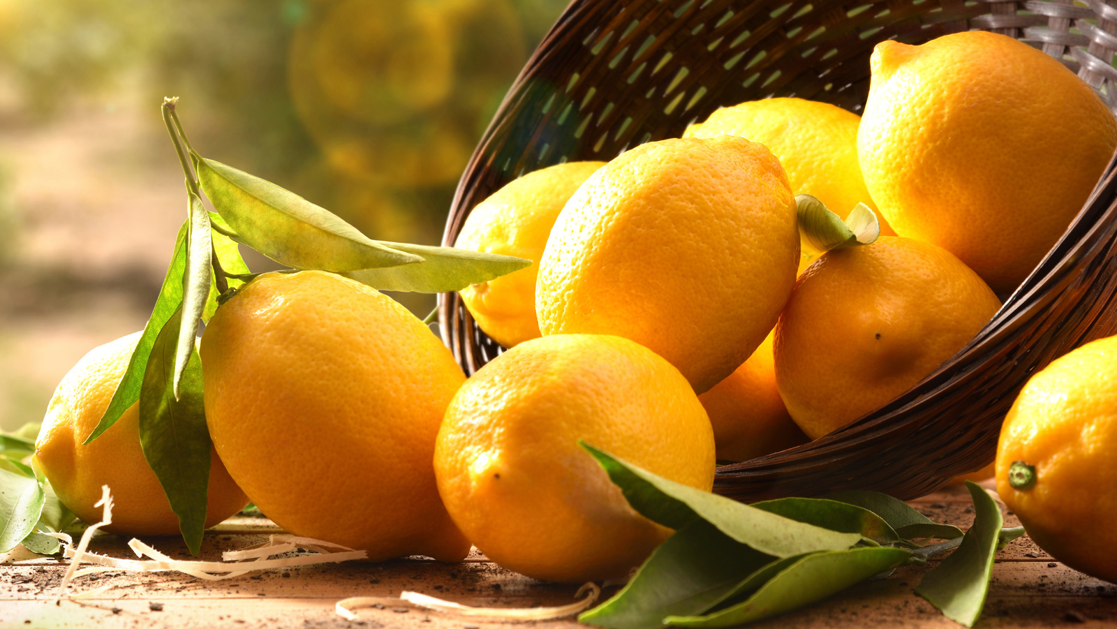 The trick that will change your life: Cut the lemon into four parts, sprinkle some salt and place it in the middle of the KITCHEN